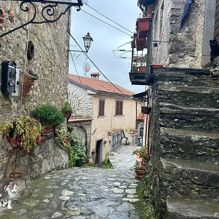 Casa Visconti