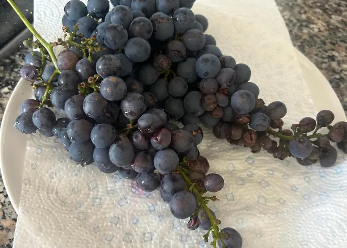 Vila Casa Visconti Bolognana